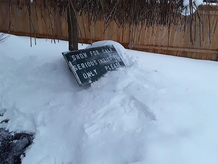 Sale on the Cold